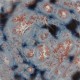Galaxy - 16 oz Mayco Stoneware Glaze